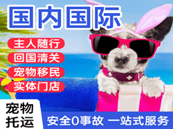 玉龙国际宠物托运 【国
